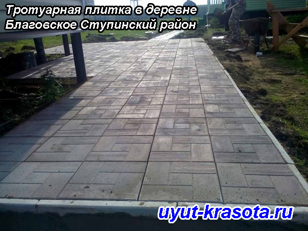 Тротуарная плитка в деревне	Благовское	Ступинский район Московская область