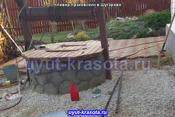 Пример круговой укладки тротуарной плитки Краковского Клевера в селе Шугарово Ступинского района Московской области